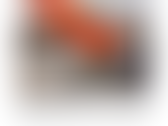 Péndulo Político (25/11/2024)