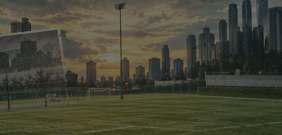 Banner showcase-2.jpg