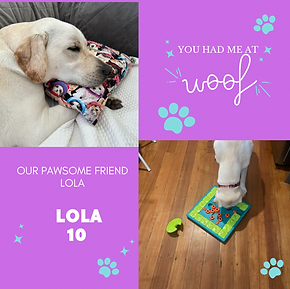 Blue Simple Dog Instagram Post (1).PNG