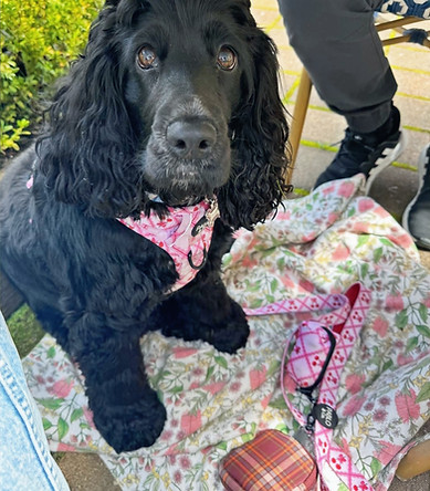 PHOTO-2025-11-04-11-43-28 (1)_edited_edited.jpg