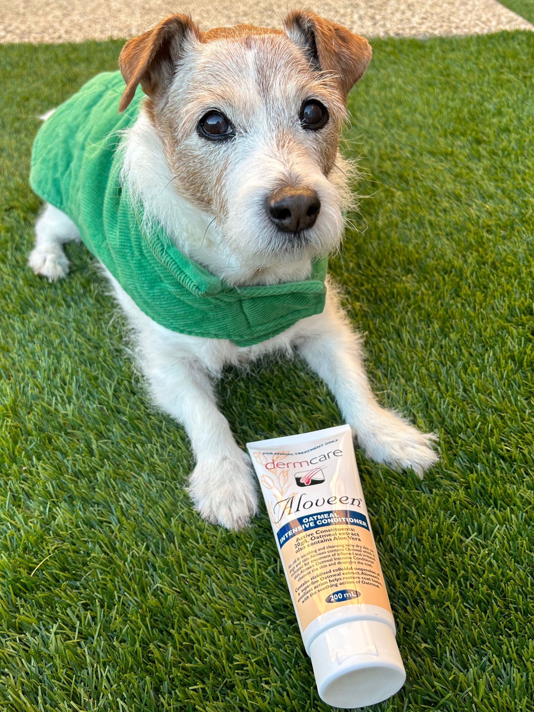 Dermcare Aloveen Oatmeal Conditioner 200ml