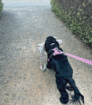 PHOTO-2025-11-04-11-43-28 (3)_edited.jpg