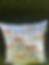 Thumbnail: Cockatoo Cushion 