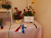 DSCN0717.JPG