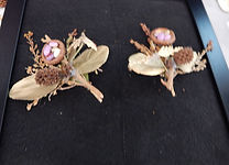 DSCN1109.JPG