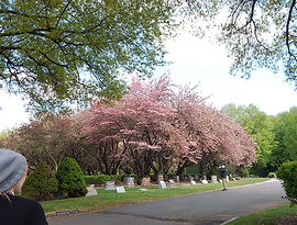 DSCN2767.JPG