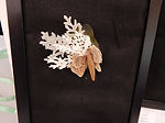 DSCN1099.JPG