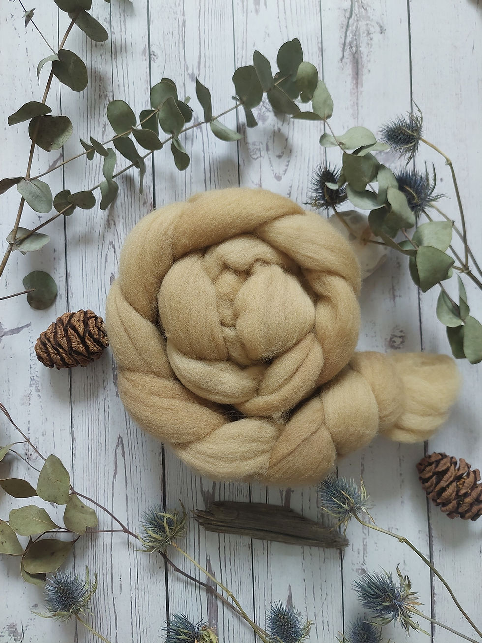 'Alder' naturally dyed Cormo wool top/roving, 100g