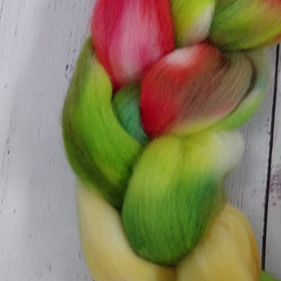 Thumbnail: 'Rasta' Polwarth wool top/roving, 100g