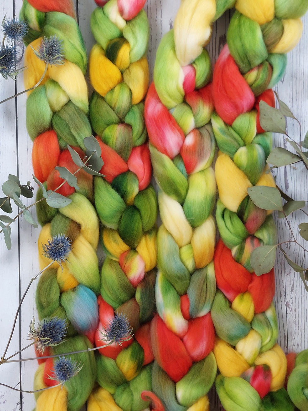 Thumbnail: 'Rasta' Polwarth wool top/roving, 100g