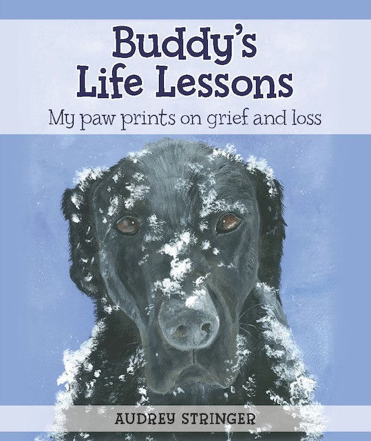 Buddy's Life Lessons