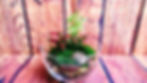 Terrarium "oeuf" ouvert