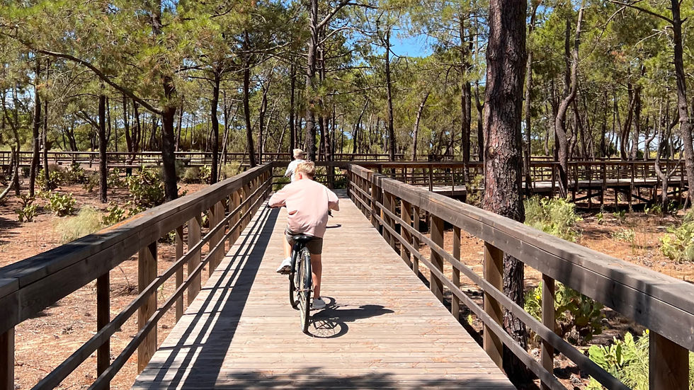 Two children ride bicycles along a wooden boardwalk through a sunny pine forest.