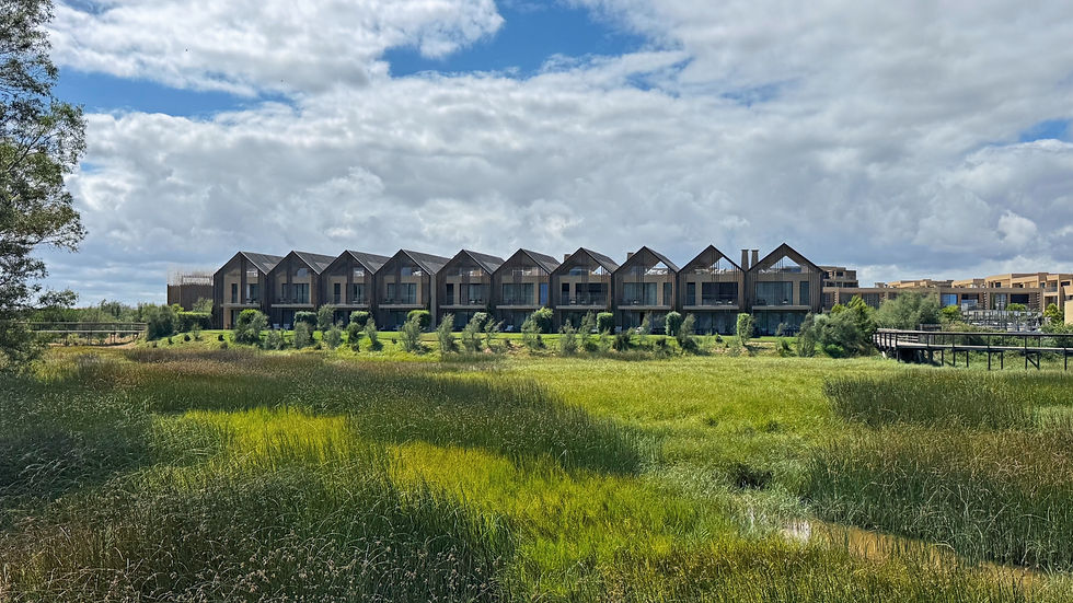 Modern row of gabled resort villas beside a grassy wetland under a bright, cloudy sky