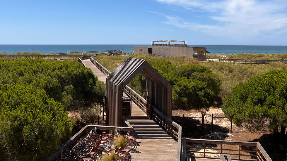 Wooden boardwalk through coastal dunes to a beach pavilion, with parked bicycles in front and a calm blue sea under a sunny sky.