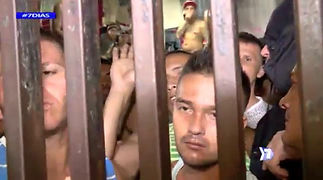 Hacinados cucas.jpeg