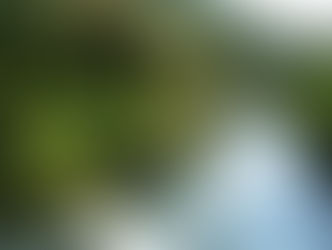 Entenda a importância da mata ciliar contra o assoreamento de rios