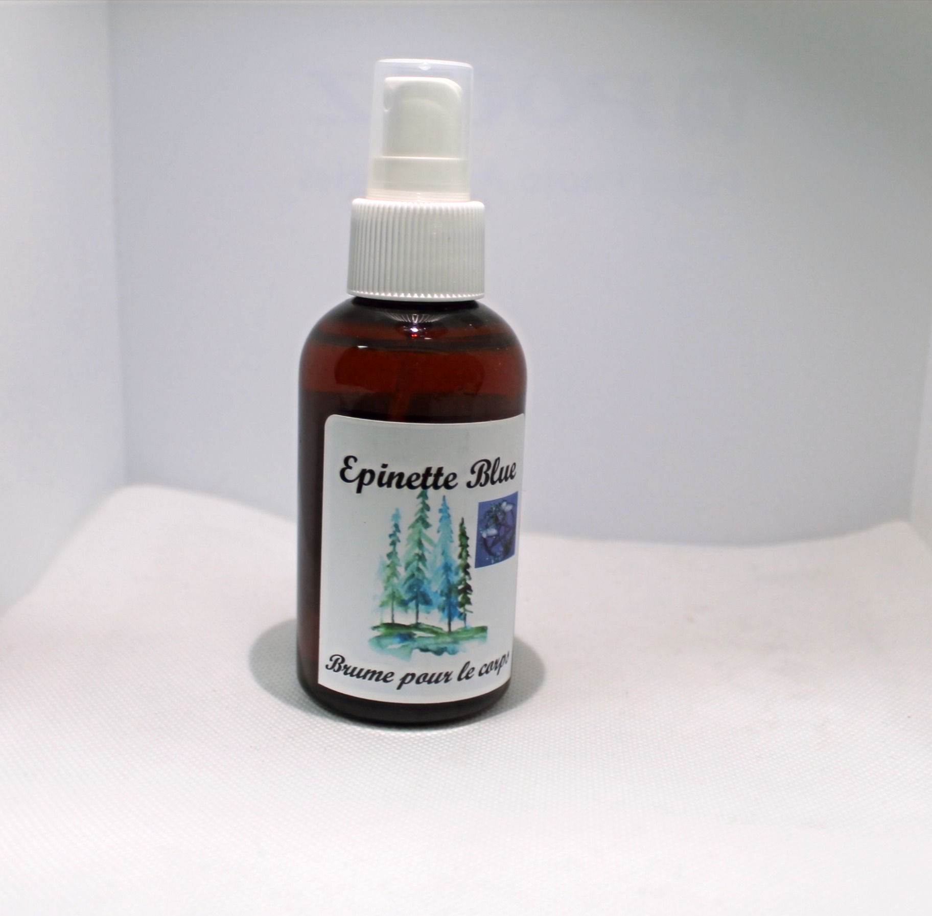 Épinette bleue -Blue Spruce