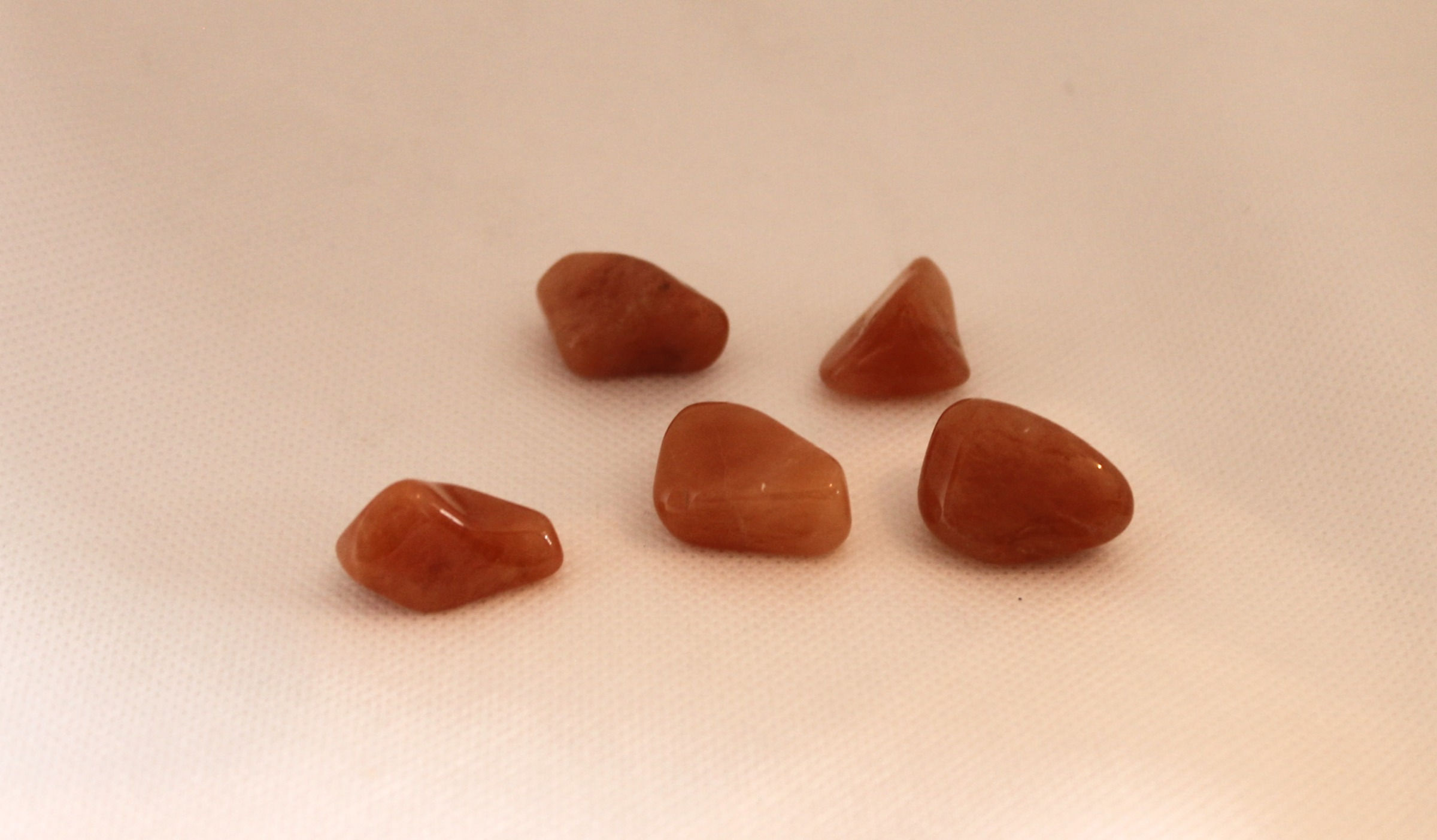 Azeztulipe rouge - Red Azeztulipe