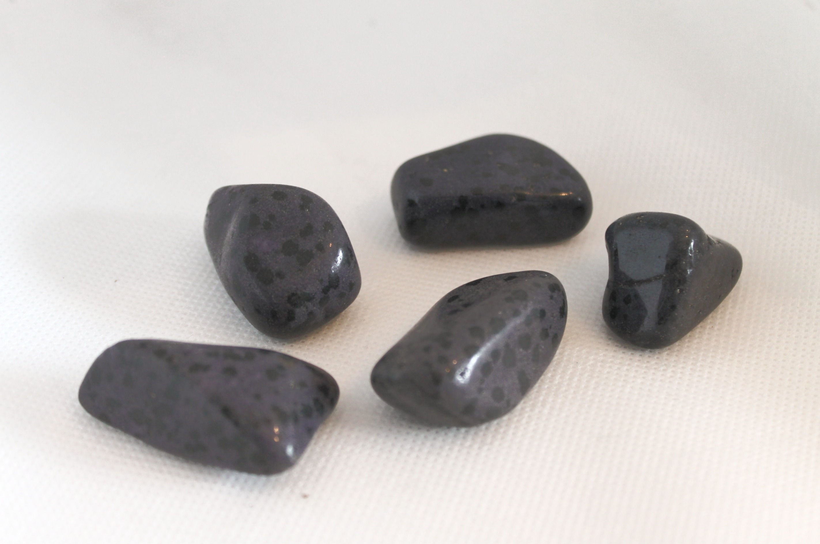 Jaspe Dalmatien mauve - Purple dalmatian jasper