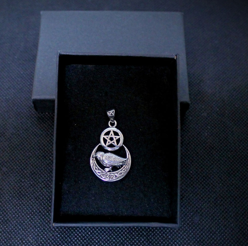 Corbeau sur lune dessus pentacle - Raven on moon top pentacle