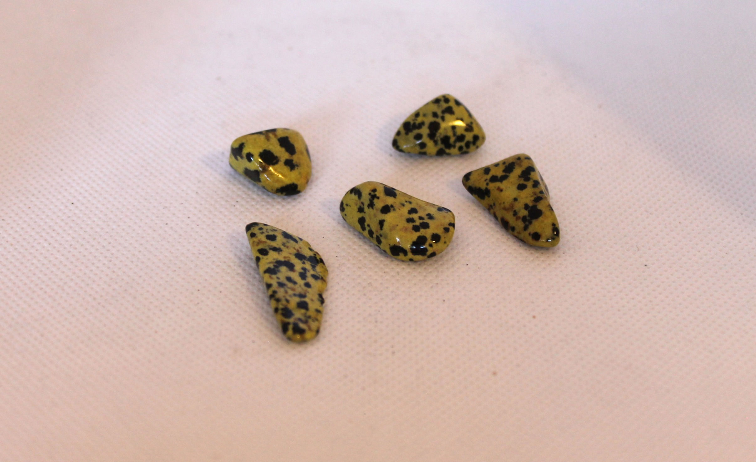 Jaspe Dalmatien jaune - Yellow dalmatian jasper