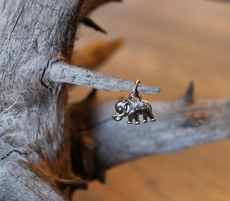 Éléphant - Elephant