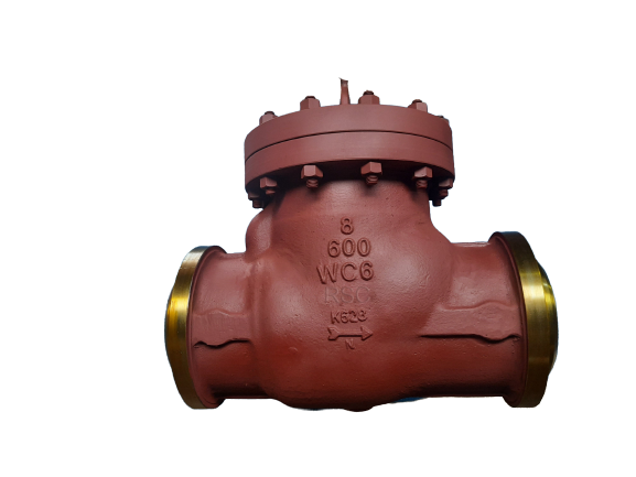 Swing Check Valve B/W