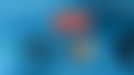 SHOW @ THE VALVES THIS FRIDAY!