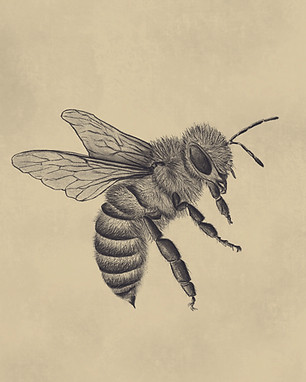 porta retratos_abeja.jpg