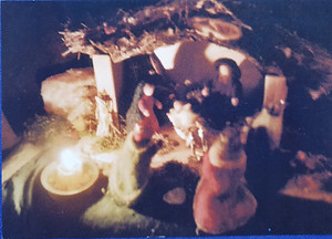 20201116_153136.jpg