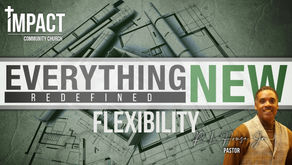 EVERYTHING NEW: Redefined - Flexibility