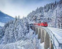 bernina.jpg