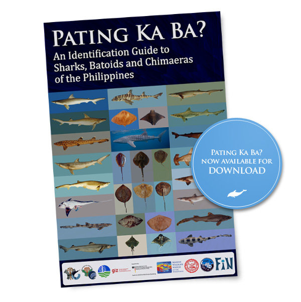 Pating Ka Ba? An Identification Guide for Sharks, Batoids and Chimaeras ...