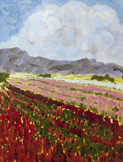 Red and pink stalk flower fields from the historical Japanese flower gardens of Phoenix, Arizona.