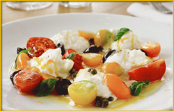 “Roasted Apricots in a Summer Garden with Burrata”