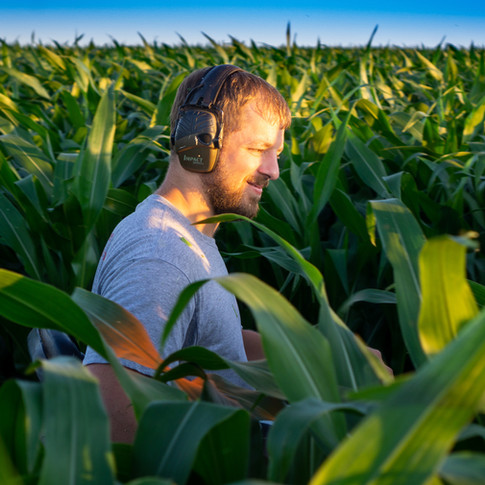 Cutting the Corn Maze