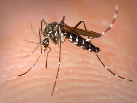 Agentes da Vigilância epidemiológica, orientam moradores do Distrito de Araxans sobre a dengue