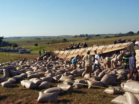 Uma carreta carregada de sementes tombou na estrada que liga Bernardes ao Distrito de Nova Pátria