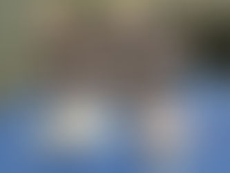 Manicure é presa ao tentar entrar com droga, celular e comprimidos de disfunção erétil , na cadeia m