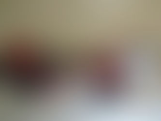Policia Civil com apoio da Policia Militar prende dois ladrões de gado em Panorama