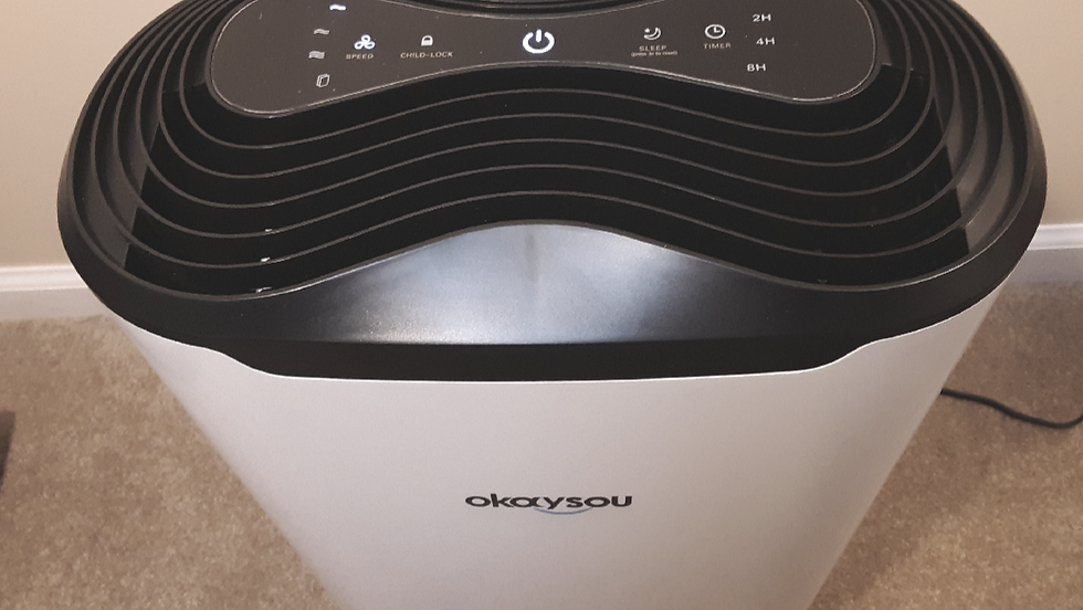 Get Clean Air With The Okaysou AirMax 8L Air Purifier + Product Review