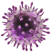herpes_edited.png