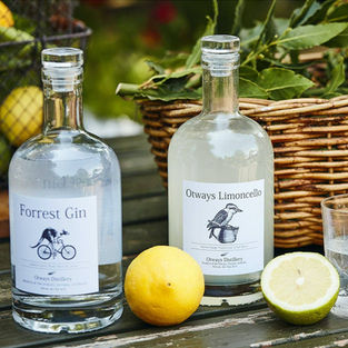 Beer, Wine, Spirits, Gin
