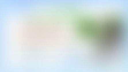 オンライン「夏の交流会」2023