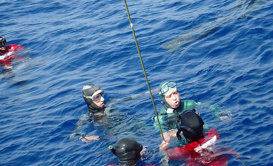 Обучение фридайвингу | Команда котиков