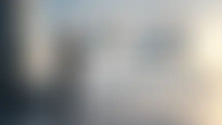 מדריך לשפת מותג במצגות שמחזק החלטות עסקיות