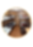 Untitled design(49).png