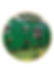Untitled design(35).png