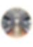 Untitled design(46).png
